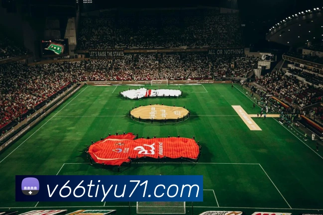 V66体育平台生态图